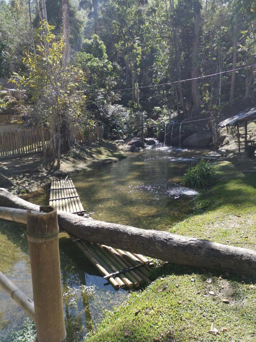 Rain Forest Inn - Housity