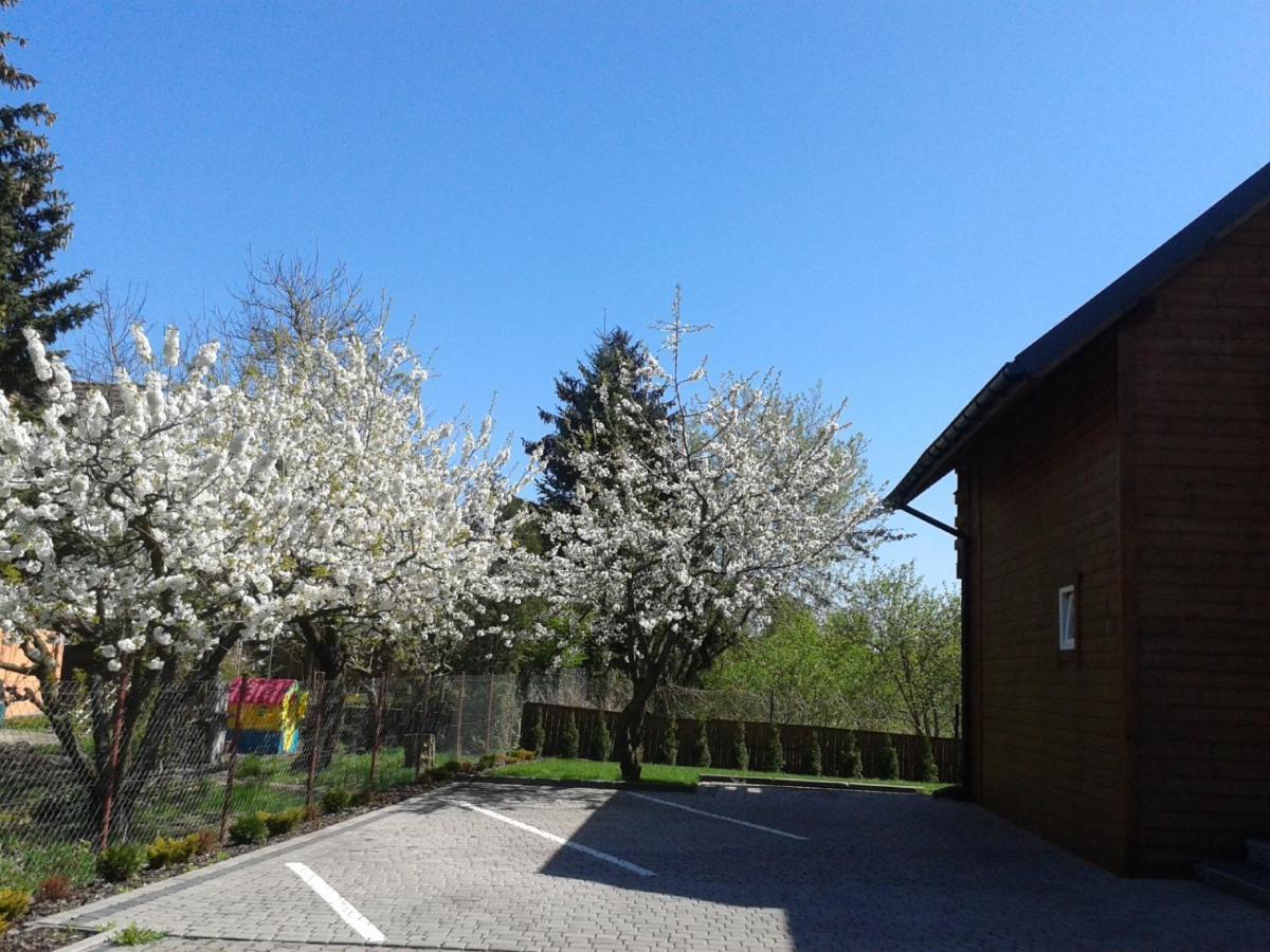Biały Domek (blisko tężni) - Housity