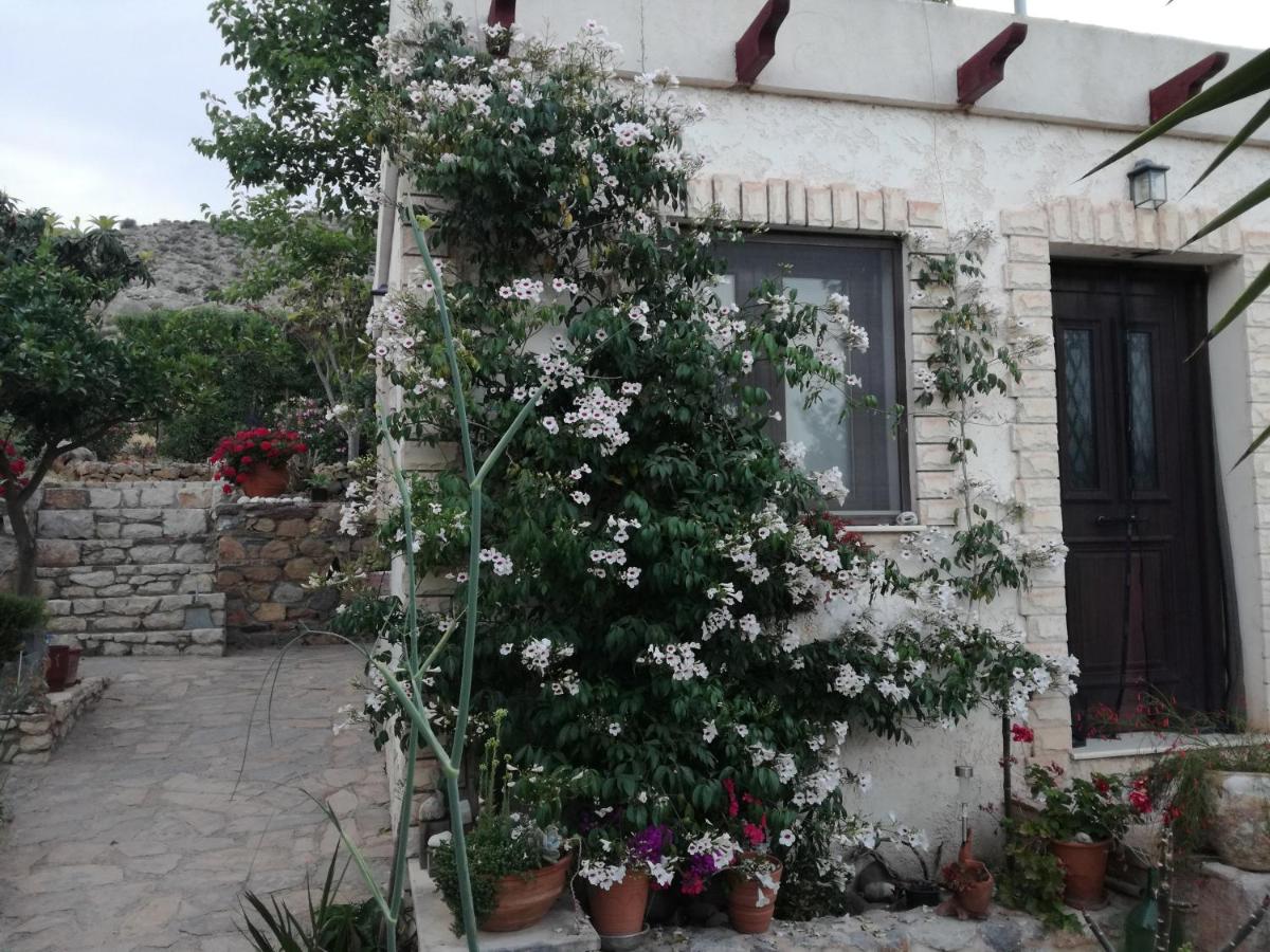 Maria's house in Kato Zakros - Housity