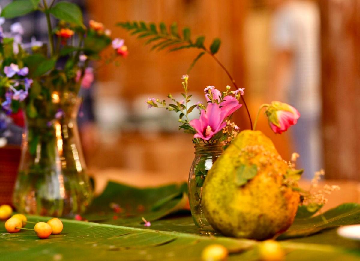 Nirvana Organic Farm Inn - Housity