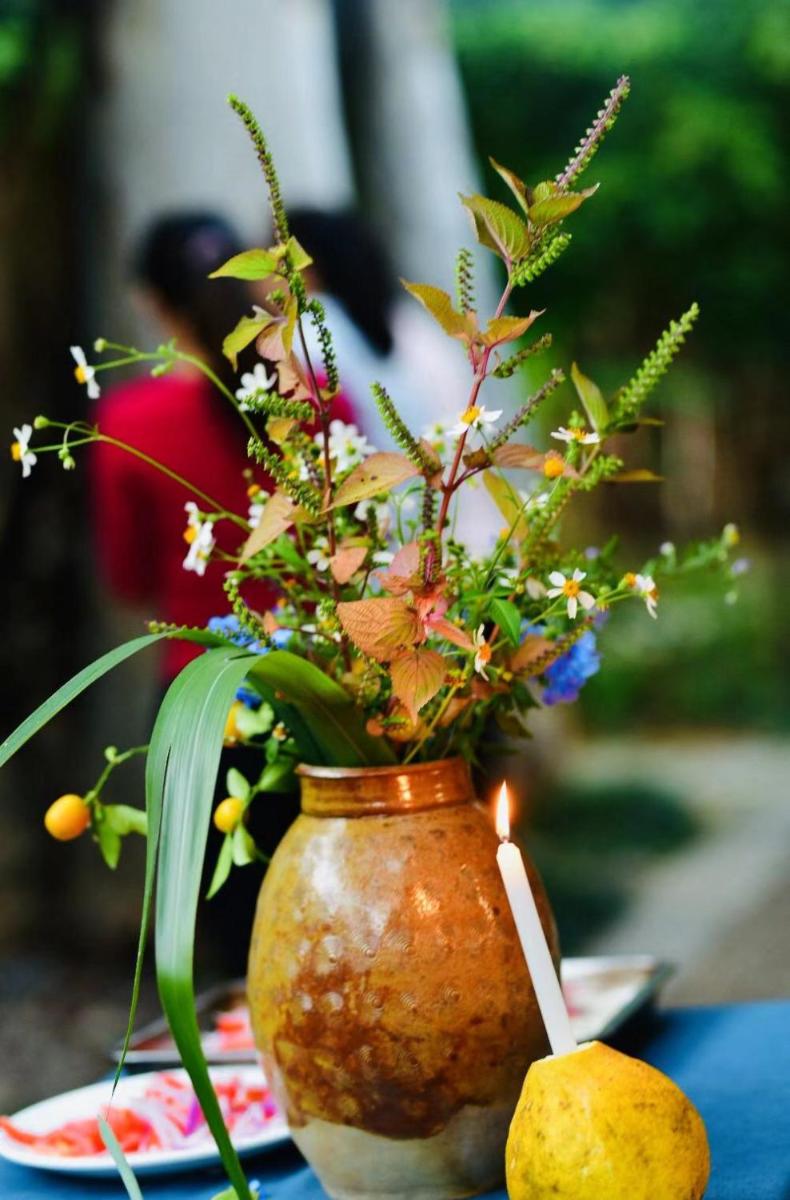 Nirvana Organic Farm Inn - Housity