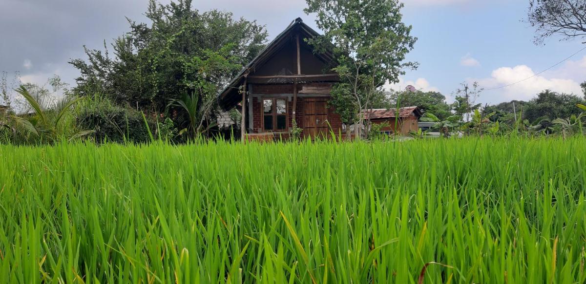 Habarana Farm Cottage - Housity