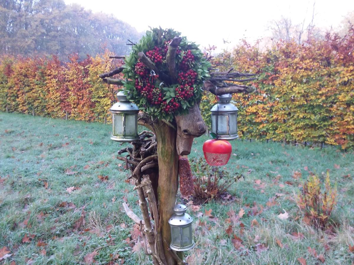 Regina Vught - Housity