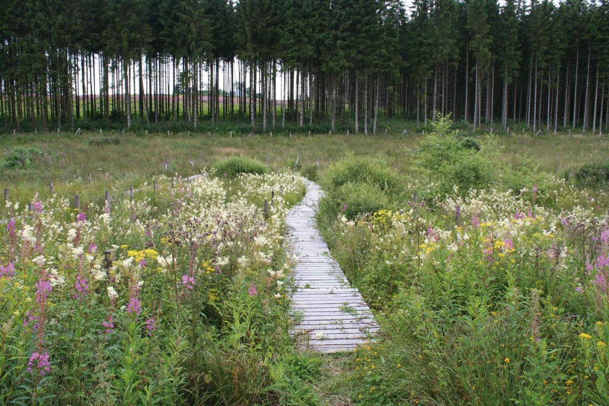 Suitetrails - Hotel Wemperhardt