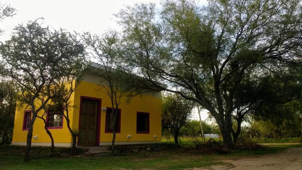 apartamento VINTAGE IVA - Housity