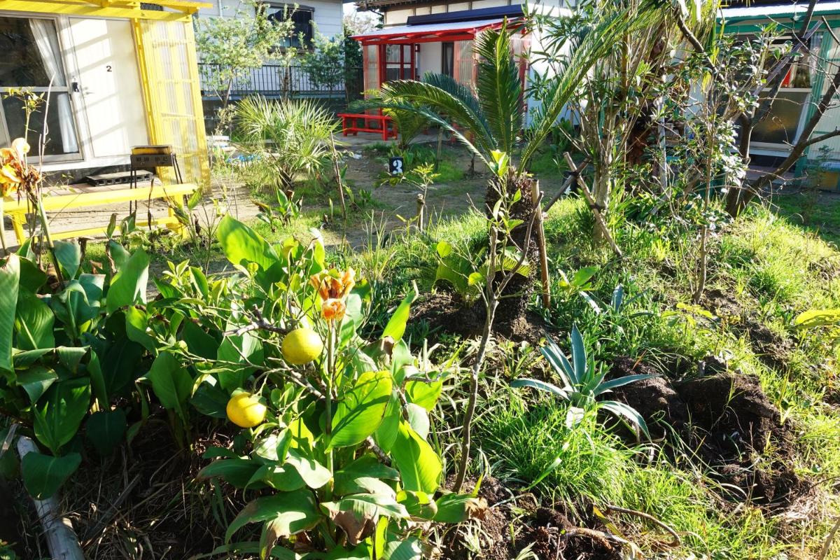 HAWAIIAN COTTAGE VILLA SHIRAKO - Housity