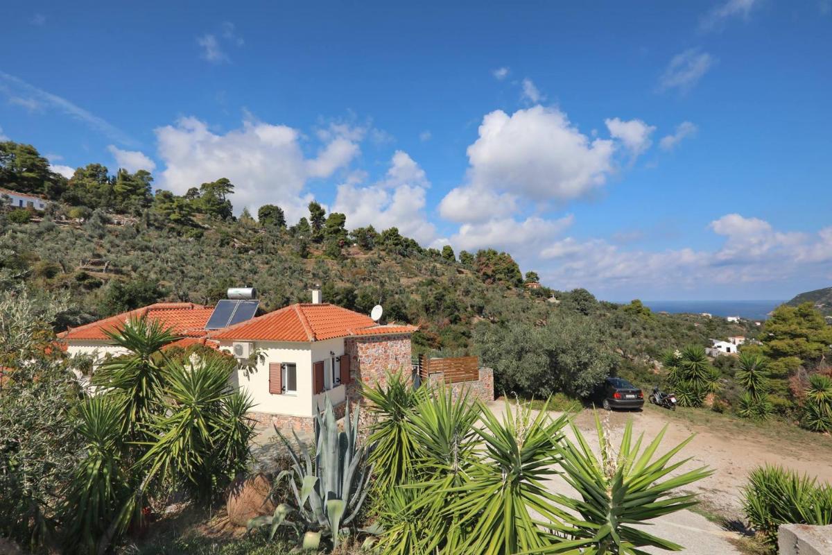 Pablo's Resort - Housity