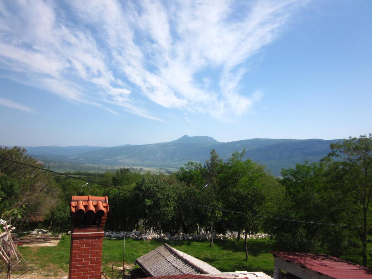 Apartments and Rooms Suzana - Housity