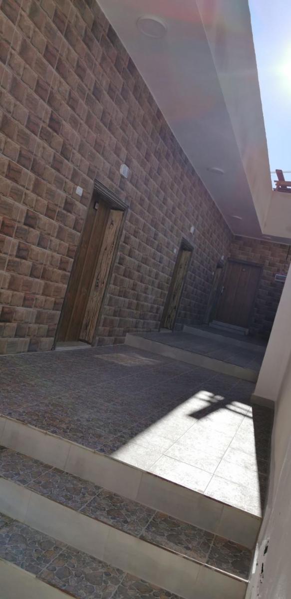 Petra 555 - Housity