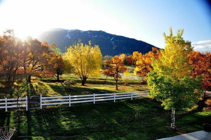 La Casita - A Writers Cottage - Housity