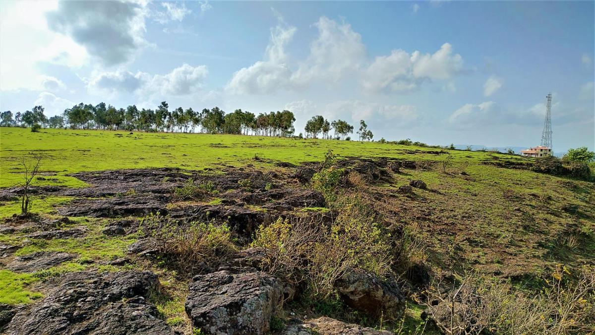Suitetrails - Kadam Villa