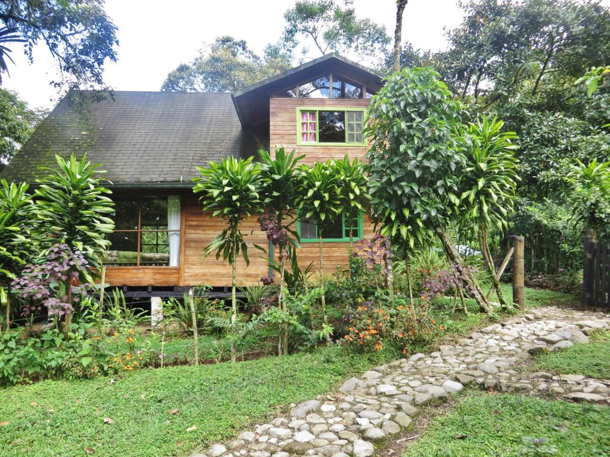 Suitetrails - Mindo Eco Chalet con Rio y Cascada