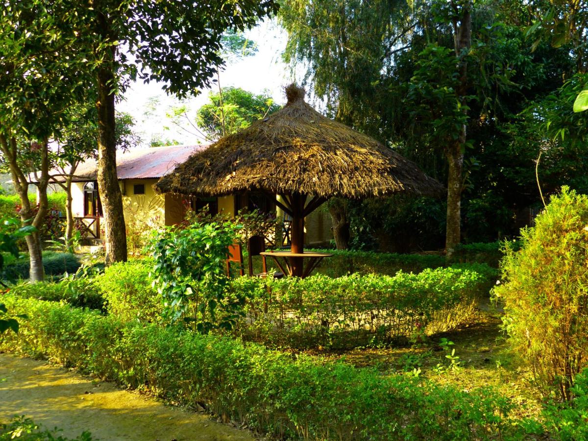 Nature Safari Resort - Housity