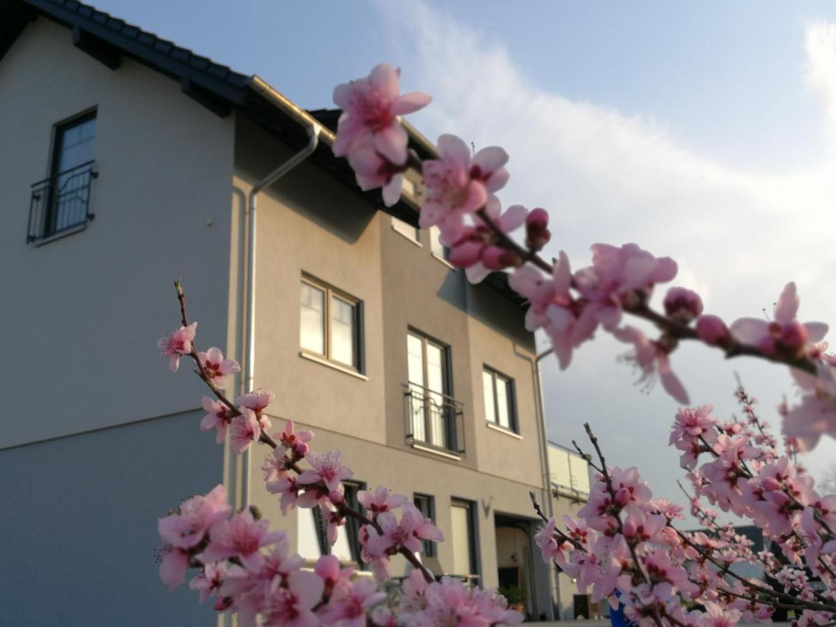 Pension Susanne - Housity