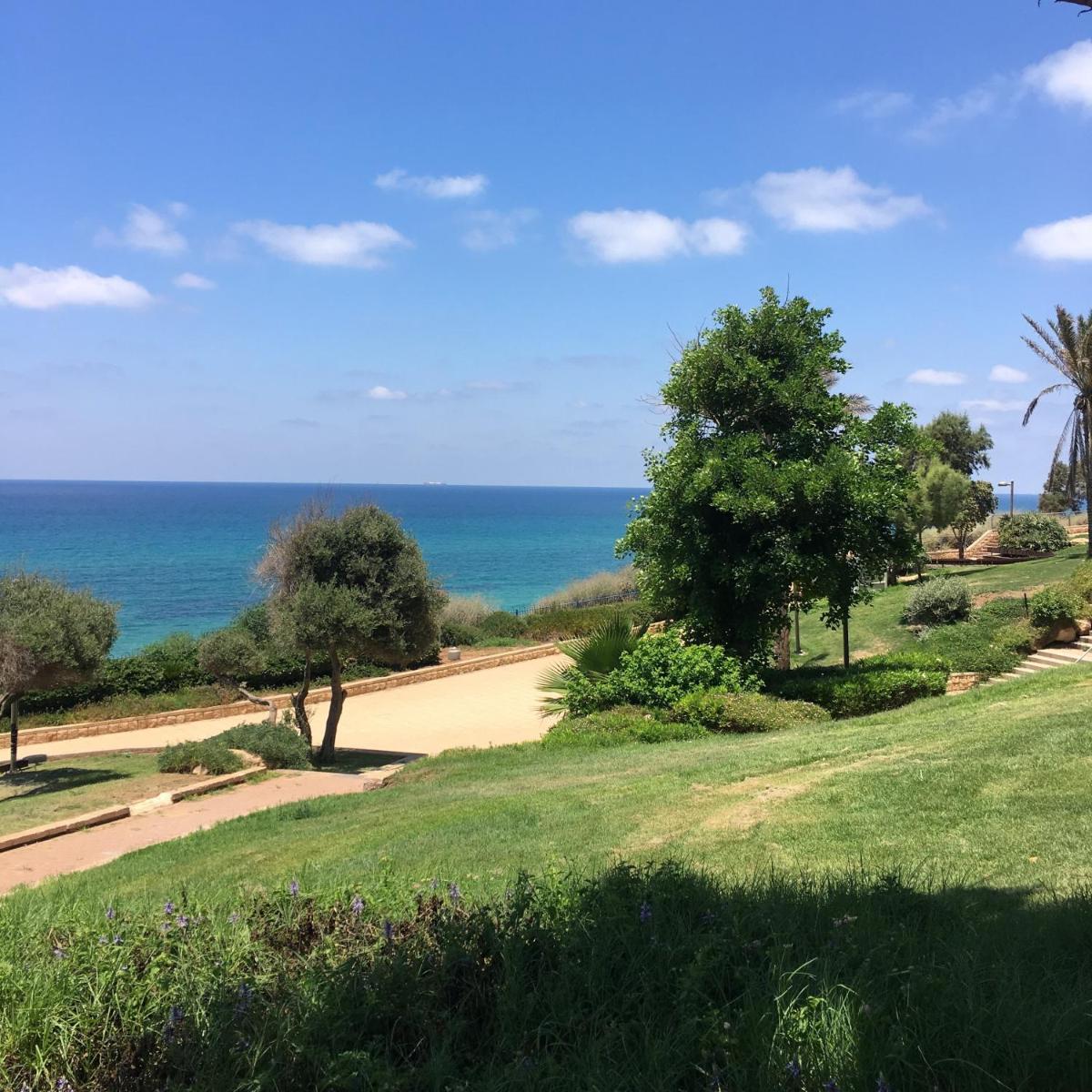 Medi Terre Boutique Hotel - By Saida Hotels - Housity