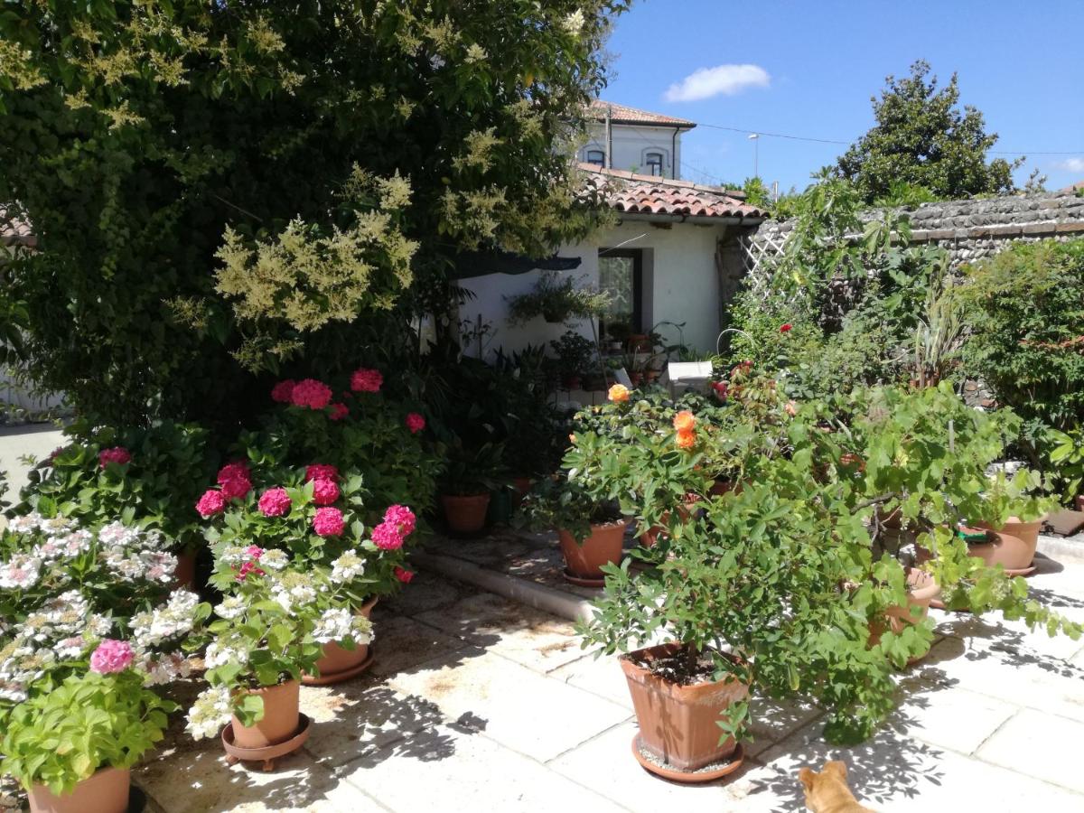 B&B LE ORTENSIE - Housity