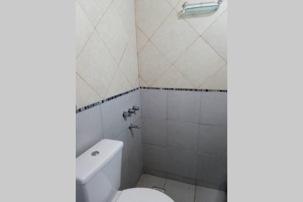 Las orquídeas - Housity