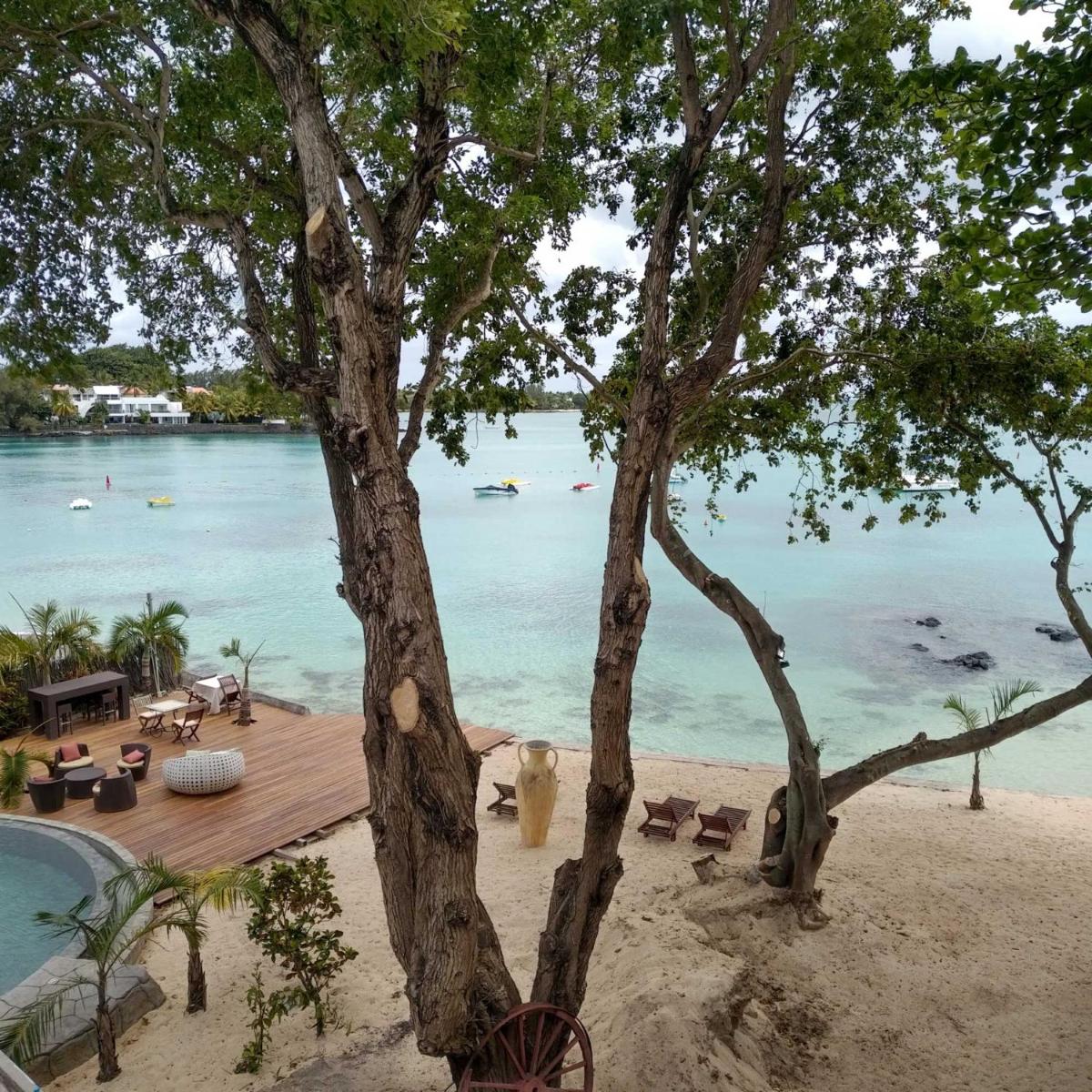 Ocean Beauty - Housity