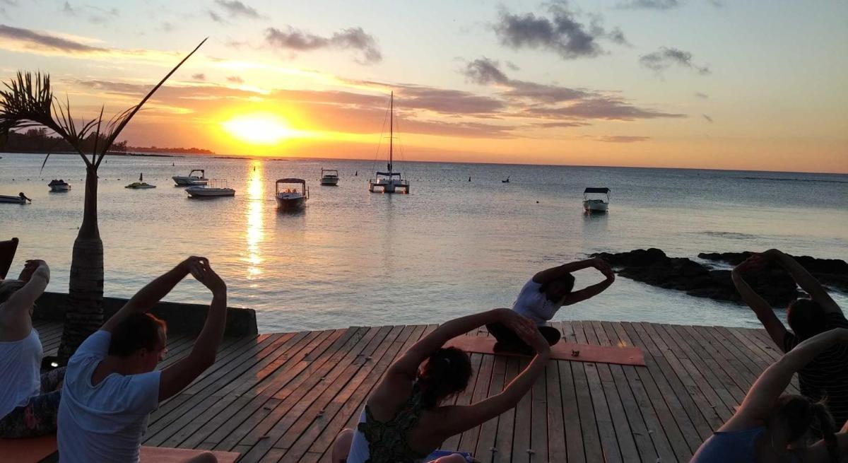 Ocean Beauty - Housity