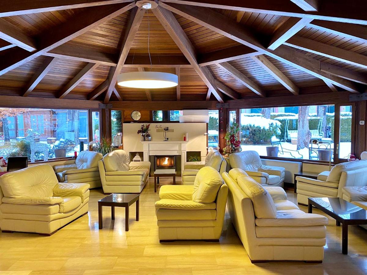 Una sala de estar con sofás y sillas y una chimenea. en Hotel Del Lago, en Puigcerdà