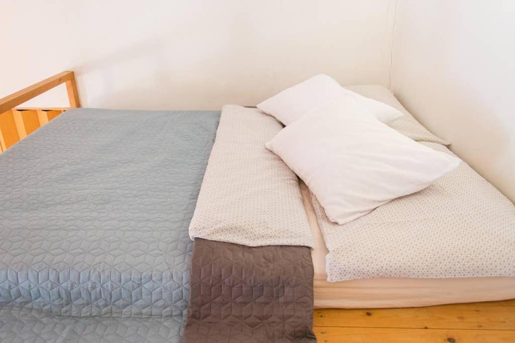 Pine Tree Studio in Historical City Centre - Housity