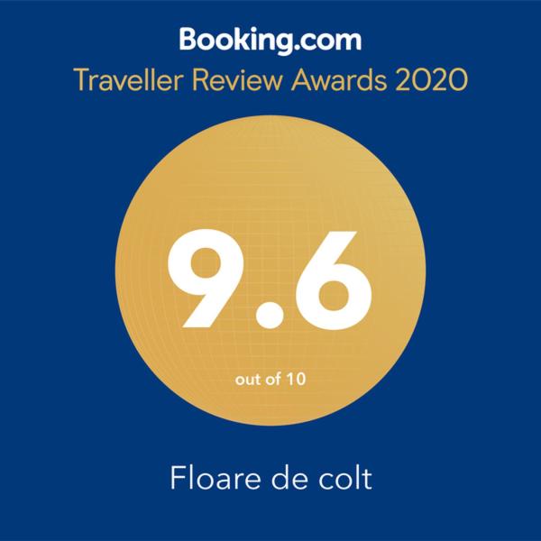 Floare de colt - Housity