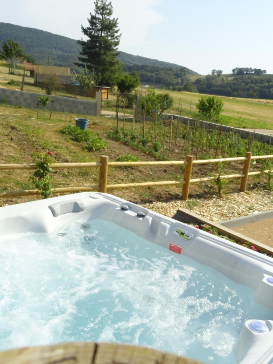 Les violettes du Bugey - Housity