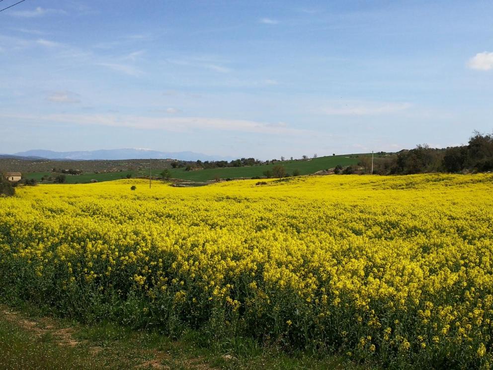 Suitetrails - La casa dels ocells