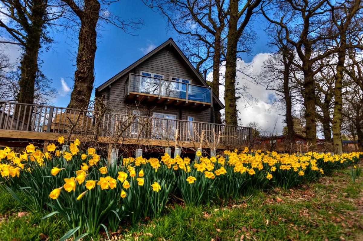 iLodge Ultra - Housity
