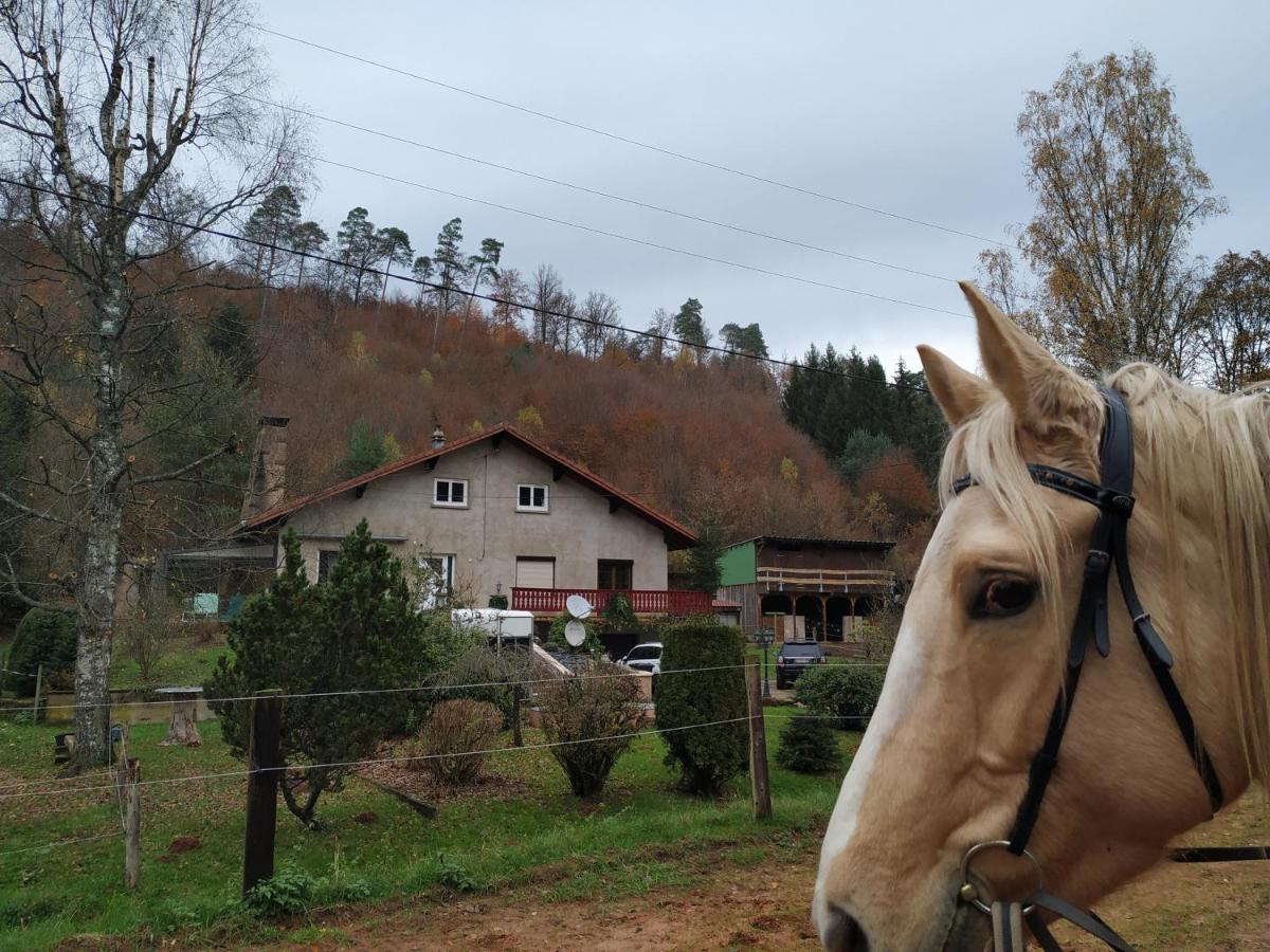 Gîte De La Vallée - Housity