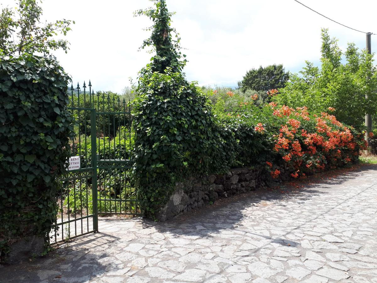 Villa Vecchio - Housity