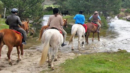 Animales en el hotel o alrededores