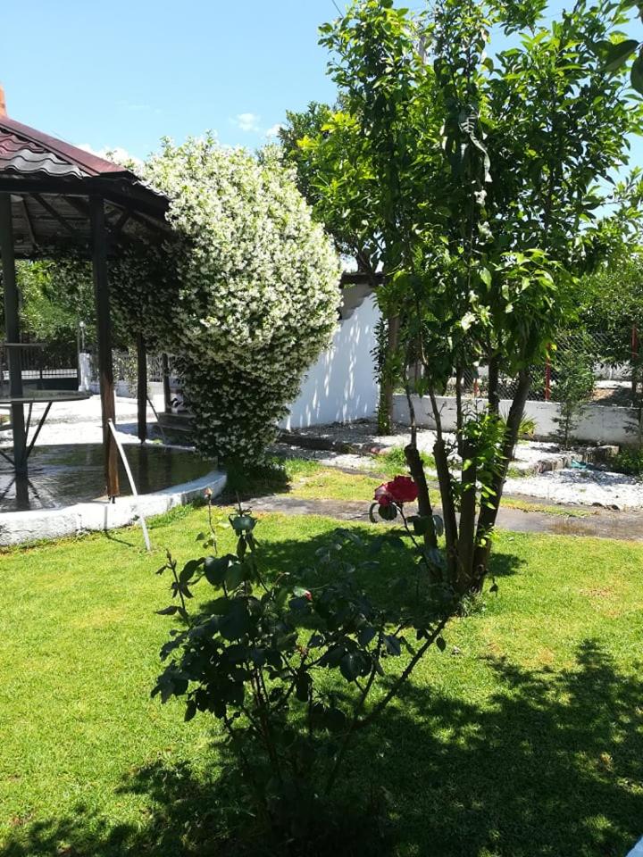 Quiet country house #1 - Housity
