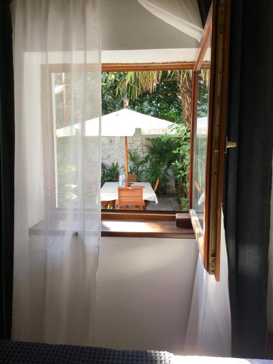 Suitetrails - Palmera