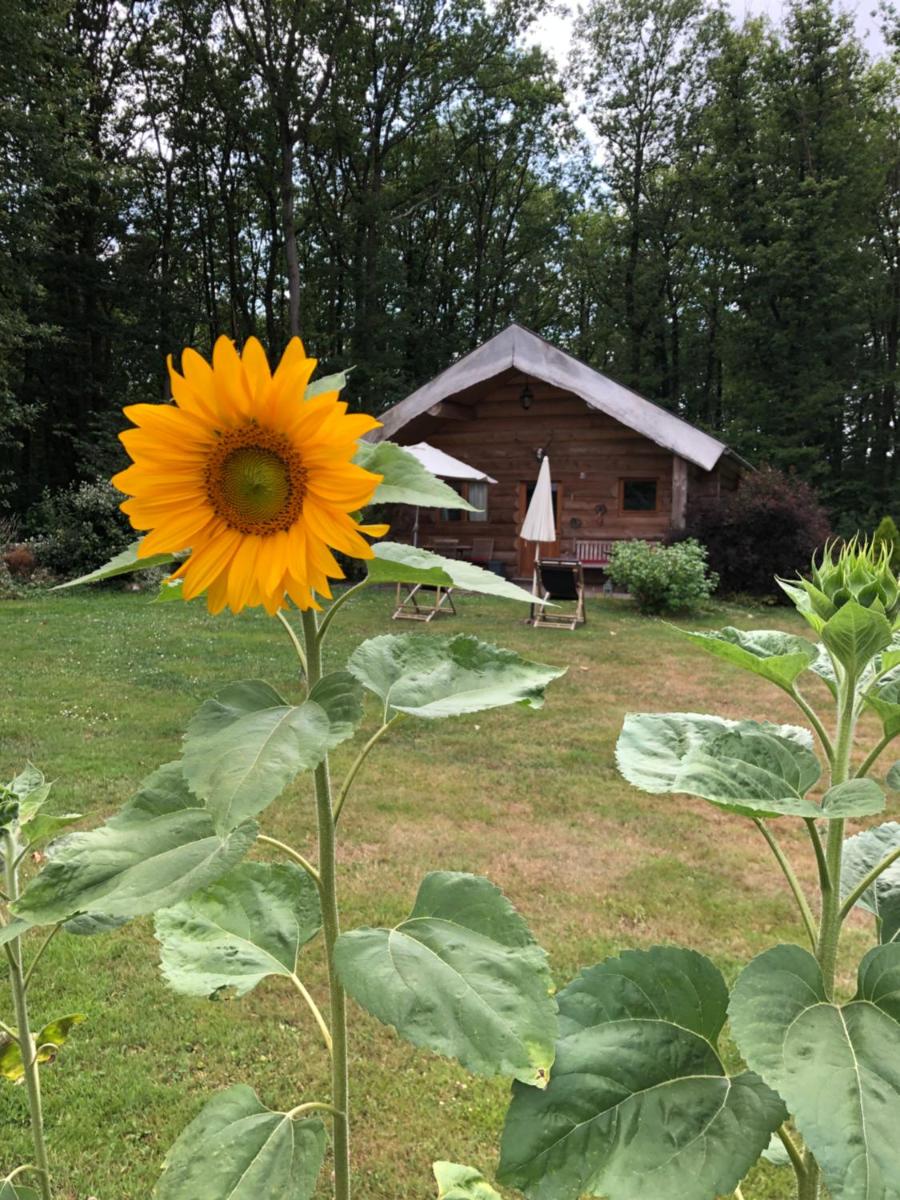 Domaine du Vertbois - Housity
