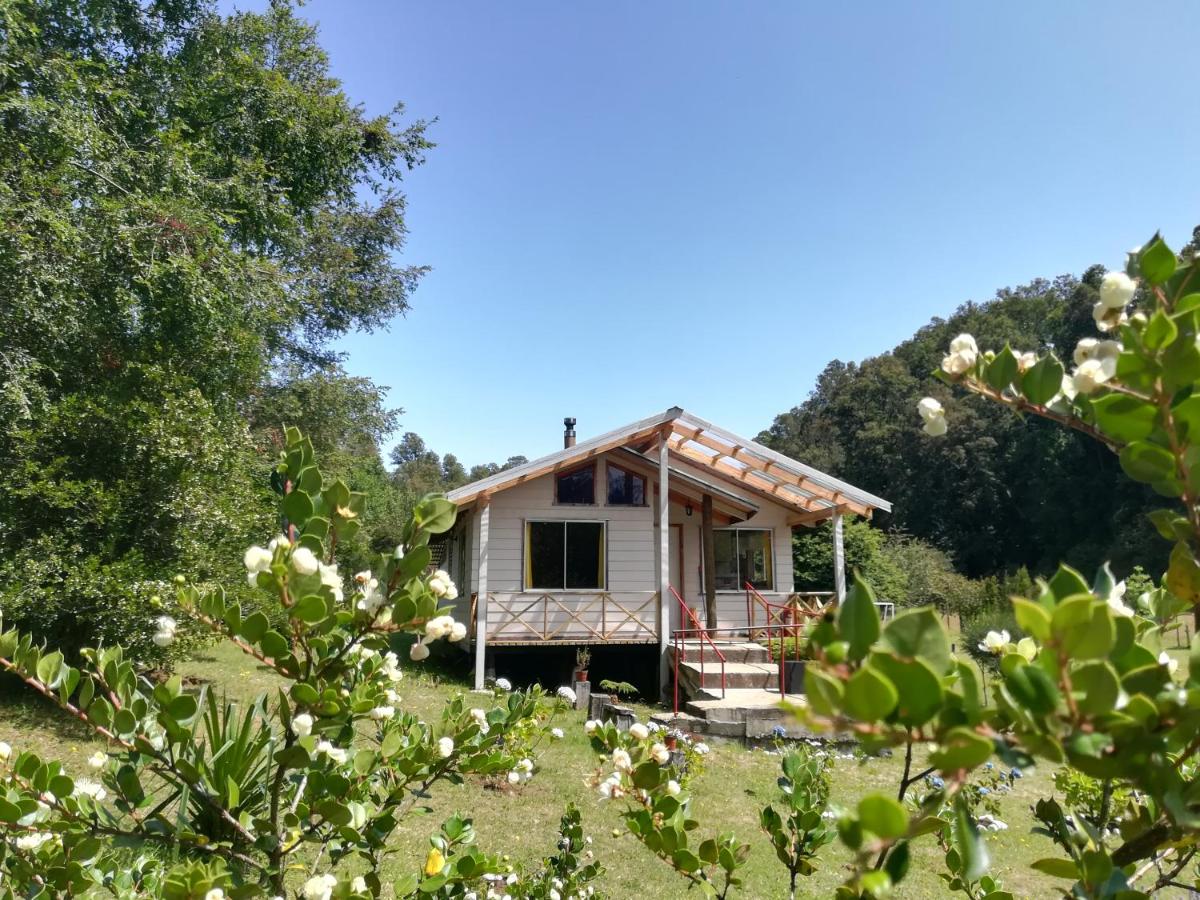 Cabañas Aliwen Panguipulli - Housity