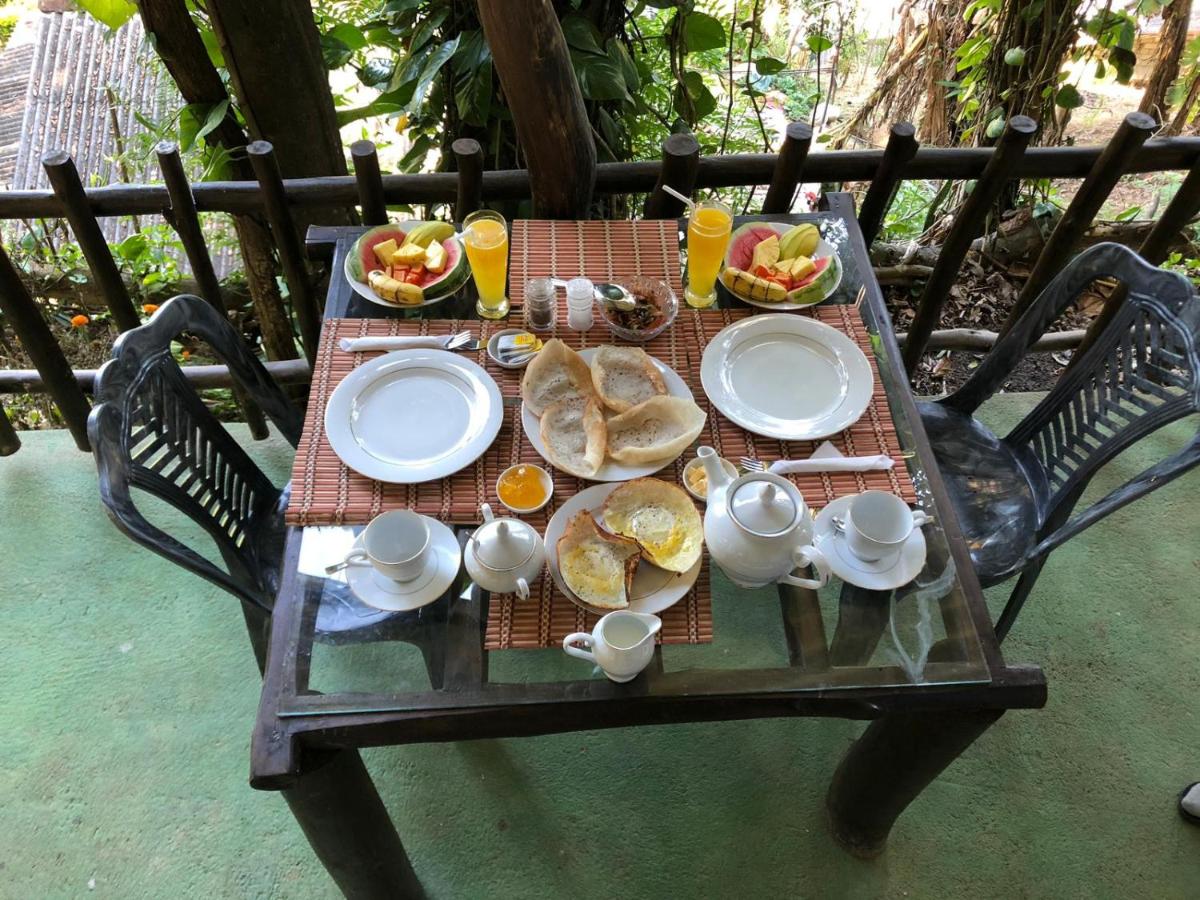 Secret Mountain Paradise - Housity