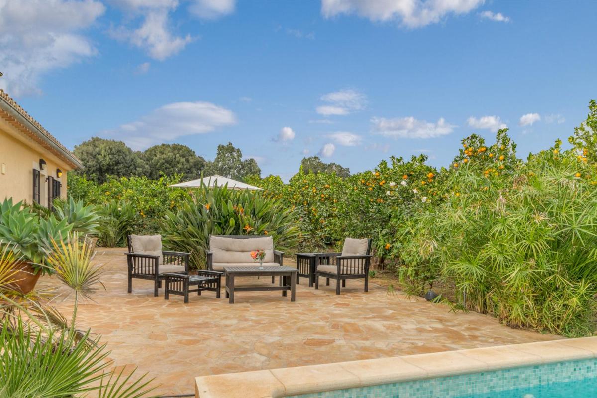 Buger - 307189 - Housity