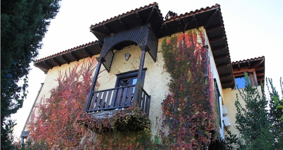 Mansion Viglatoras - Housity