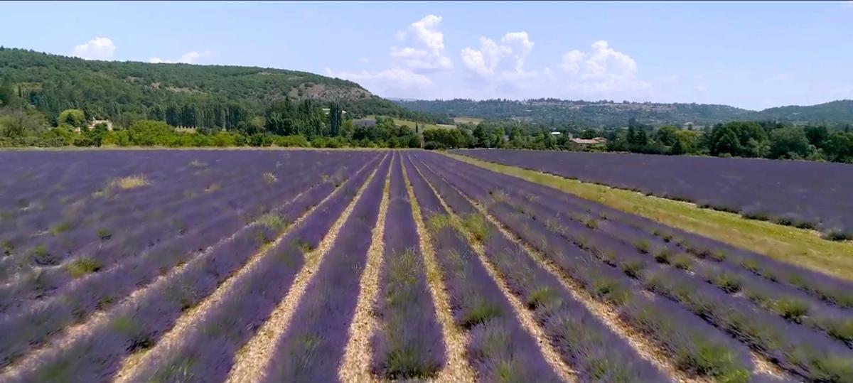 Paysage naturel près de l'hôtel