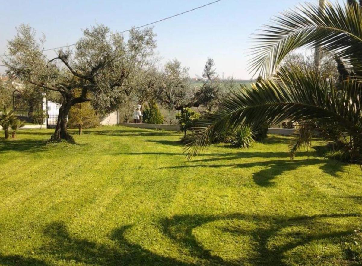 Villa L'Anfora B&B - Housity
