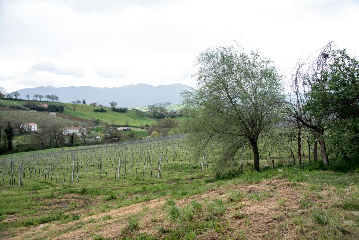 Casale Godenza - Housity