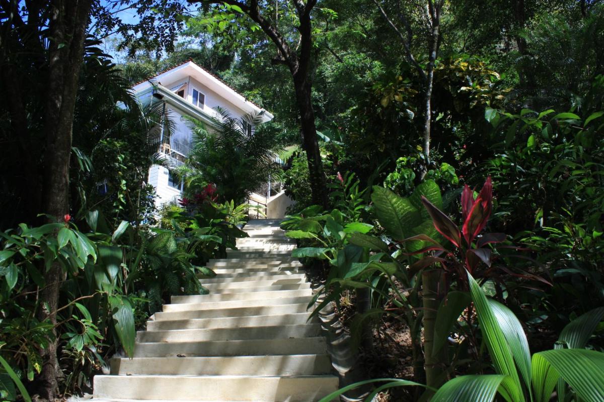 Funky Monkey Lodge - Housity
