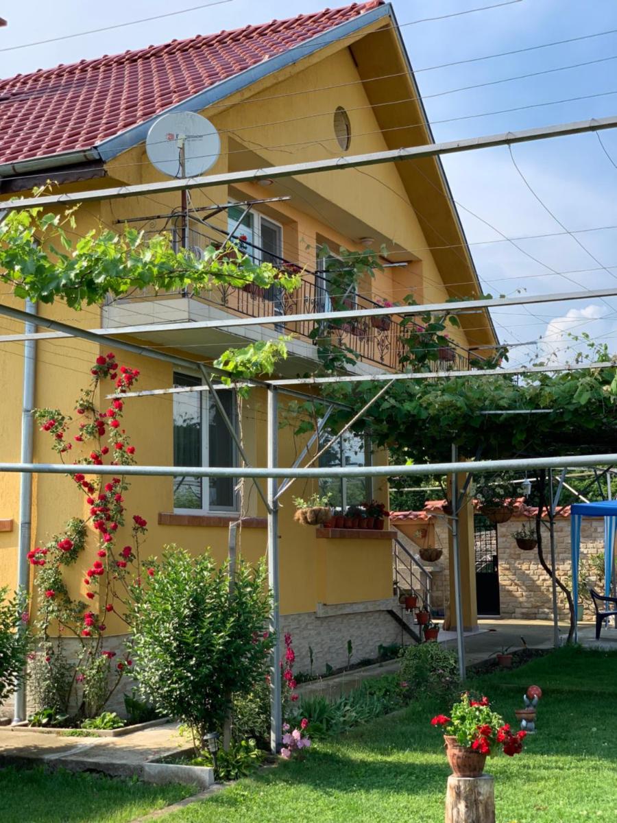 Вила в с. Габарево, Долината на Розите. - Housity