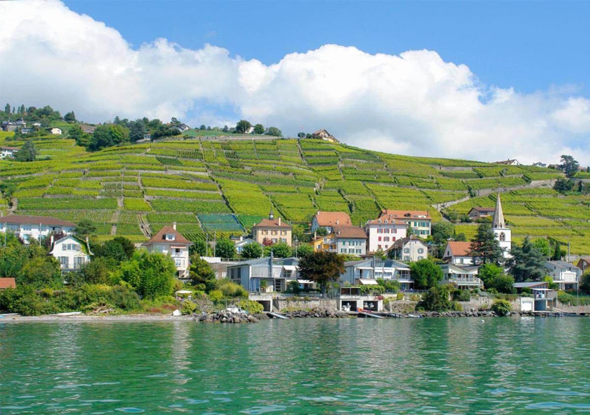 Charmant cocon dans le Lavaux - Housity