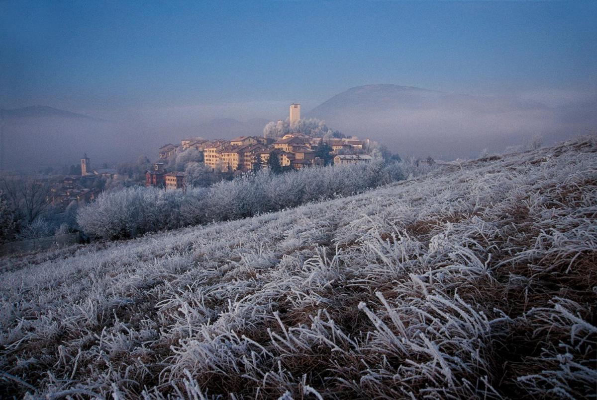 Feltre House - Housity
