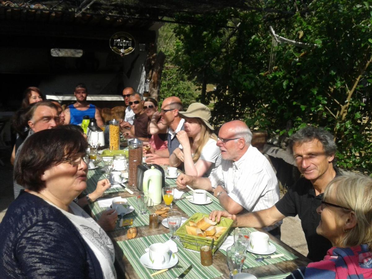 Suitetrails - autour du hamac