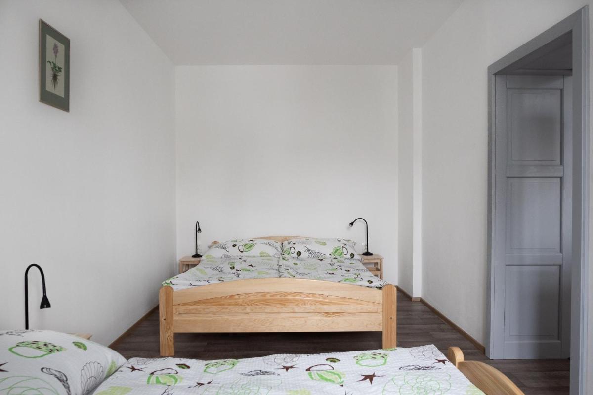 Apartmány16 Olešnice v Orlických horách - Housity