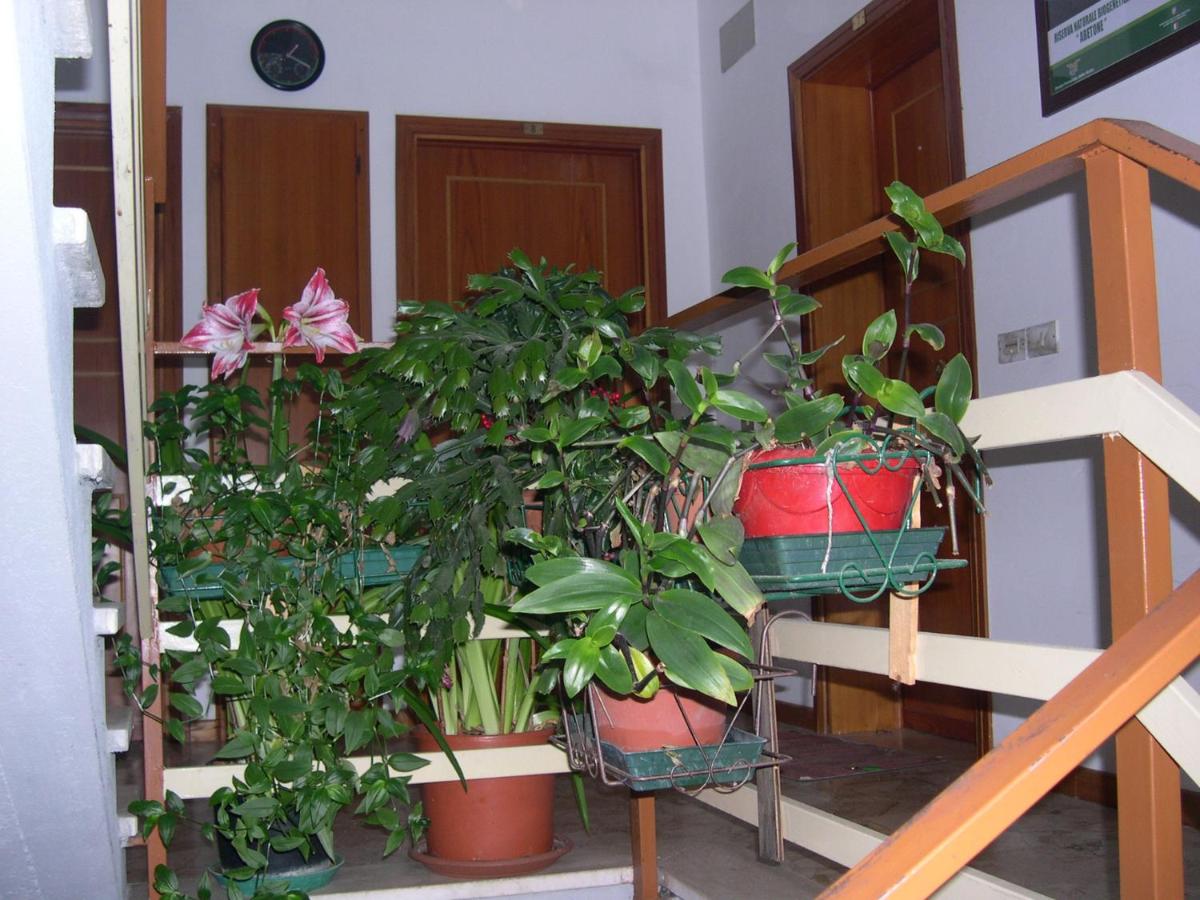 Mansarda in montagna - Housity