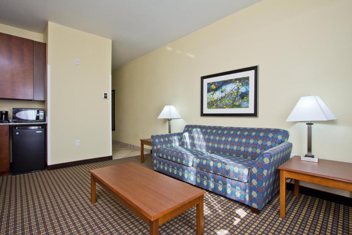 Holiday Inn Express and Suites Denver East Peoria Street by IHG - Housity
